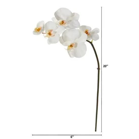 20" Phalaenopsis Orchid Artificial Flower (Set of 12) {3}