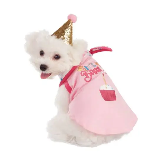 Best Furry Friends Birthday Girl Party Set {1}
