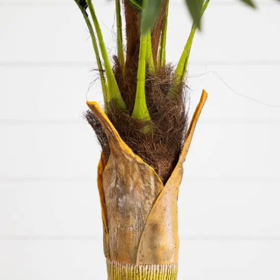 4ft. Potted Coconut Palm Tree {6}