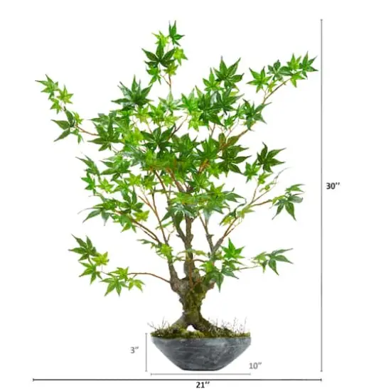 2.5ft. Maple Bonsai Tree in Decorative Bowl Planter {3}