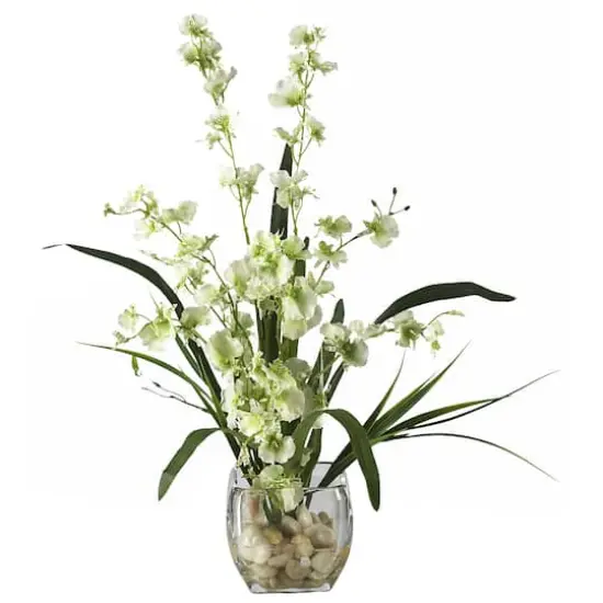19" Green Dancing Lady Orchid Arrangement in Vase {1}
