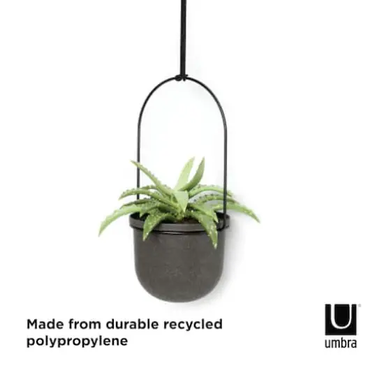 Umbra Black Triflora Hanging Planter Set {6}