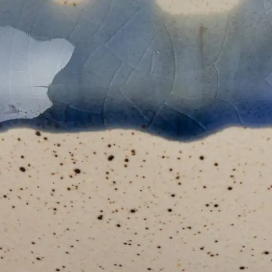 Hello Honey® 8.25" Blue & Cream Crackle Glaze Stoneware Serving Bowl {7}