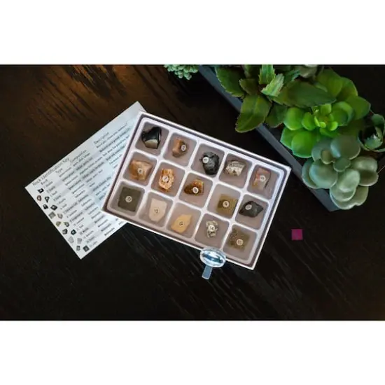 Toysmith&reg; Mineral Science Kit {6}