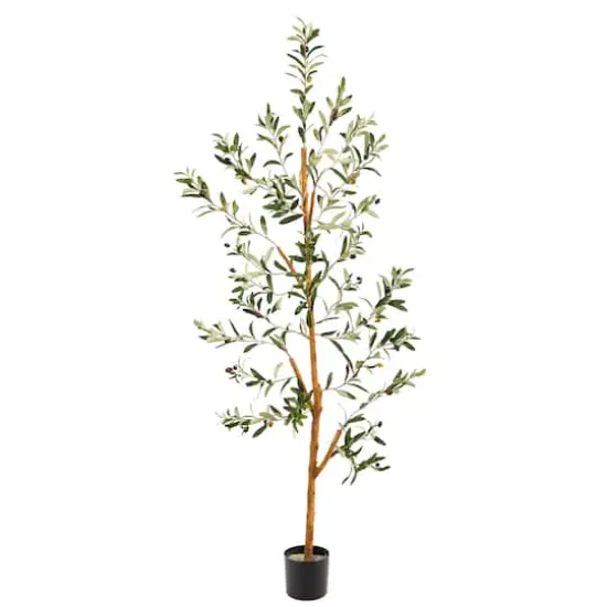 4.5ft. Potted Sparse Olive Tree {1}