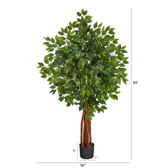 4.5ft. Potted Super Deluxe Ficus Tree {3}