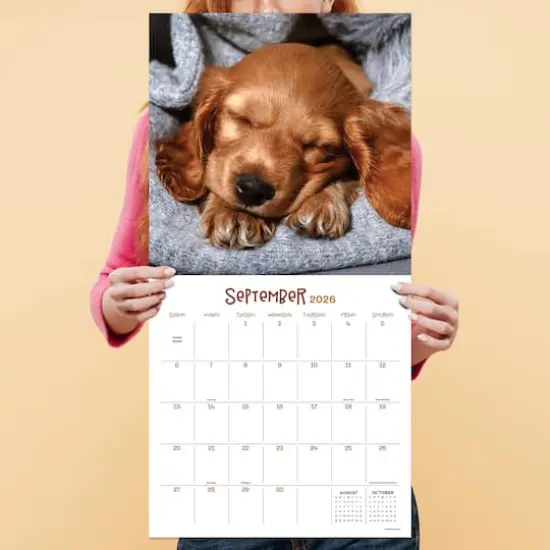 2026 Dog Dreams Wall Calendar {5}
