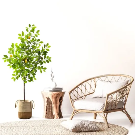 5ft. Potted Lemon Tree {4}