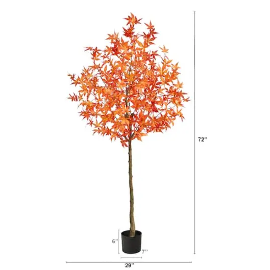 6ft. Potted Orange Autumn Maple Tree {4}
