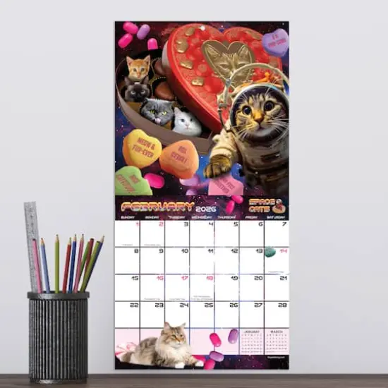 2026 Space Cats Mini Calendar {4}