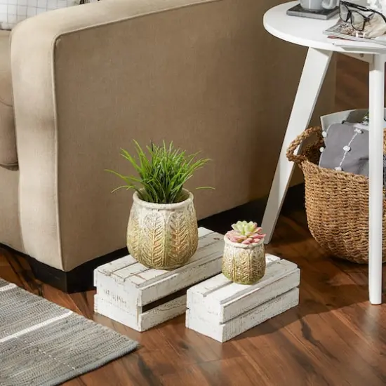 Ancient Leaf Cement Flower Pot Set {5}