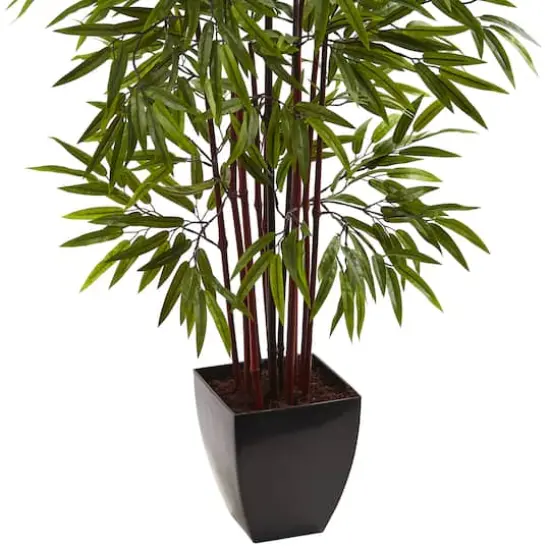 5ft. Potted Bamboo Silk Tree {4}
