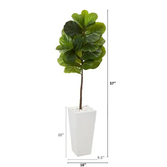 4.7ft. Fiddle Leaf Tree in White Planter {3}