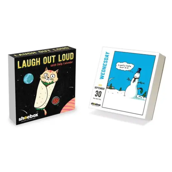 TF Publishing 2025 Shoebox Daily Desktop Calendar {7}