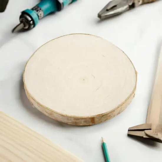 3.875" Birchwood Slices, 4ct. by Make Market&reg; {1}