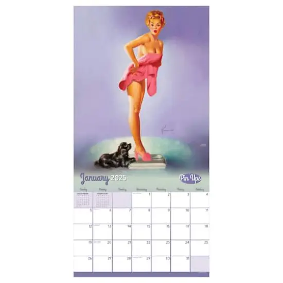 TF Publishing 2025 Pin Ups Wall Calendar {5}