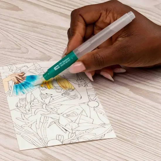 Tombow Bird Manga Illustration Dual Brush Pen Art Set {10}