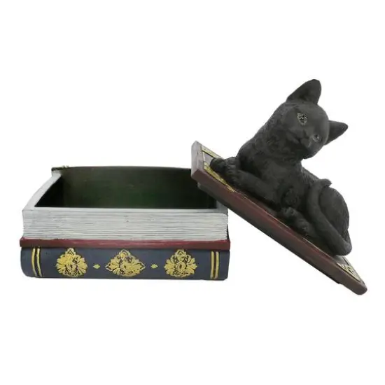 4.5" Black Cat with Books Tabletop D&eacute;cor by Ashland&reg; {4}