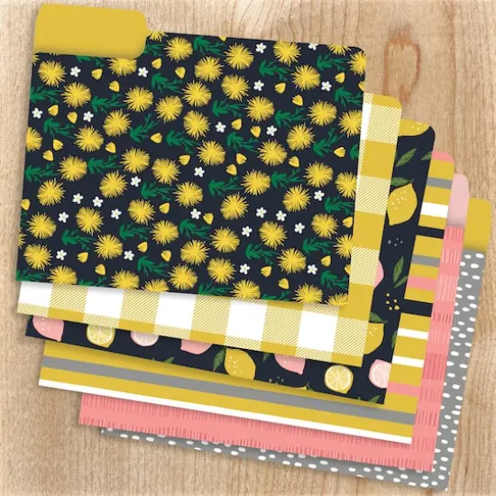 Joy Designer File Folder Set {1}