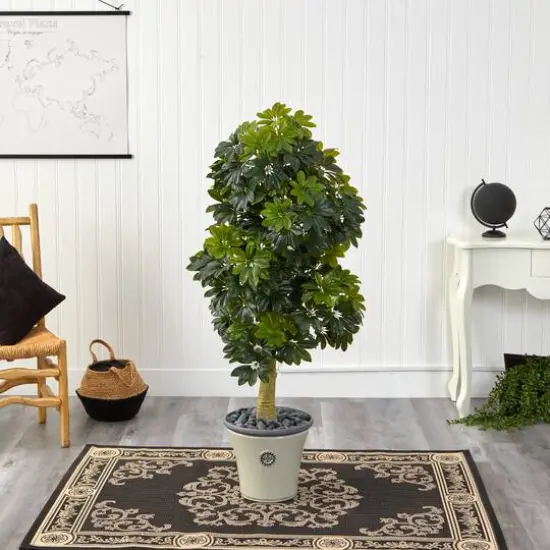 5ft. Umbrella Tree in Decorative Planter {4}