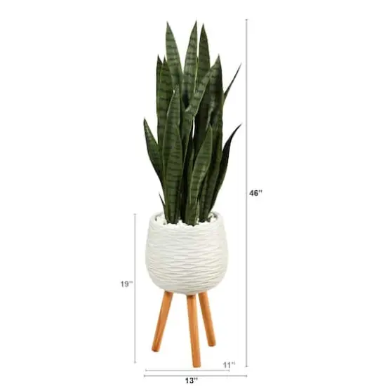 46" Sansevieria Plant in White Planter with Stand {3}