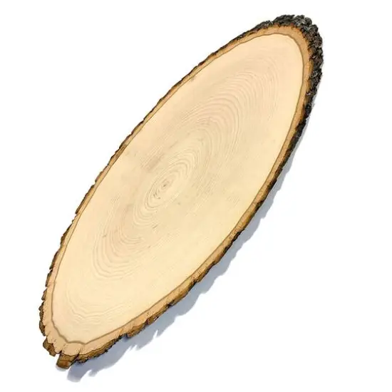 Wilson 17.5" Basswood Elongated Round Slice, 4ct. {1}