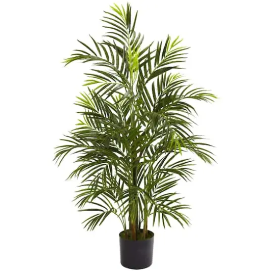 3.5ft. Potted Areca Palm {1}