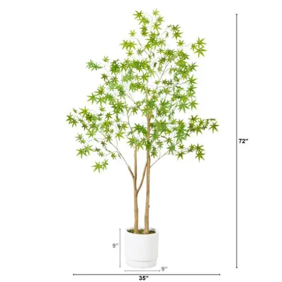 6ft. Maple Tree with White Planter {7}