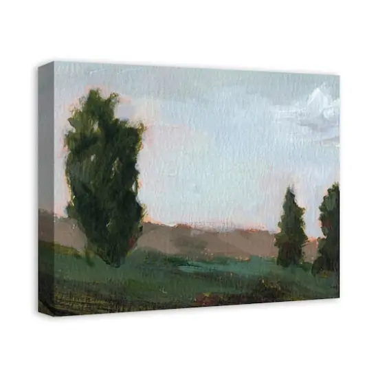 Mountain Pines 20" x 16" Canvas Wall Art {3}