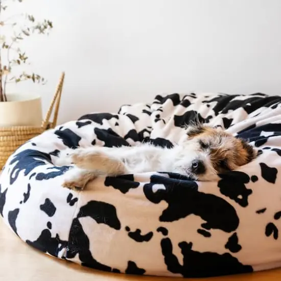 Poly-Fil&reg; Biggie Bean Bag Filler, 16oz. {5}