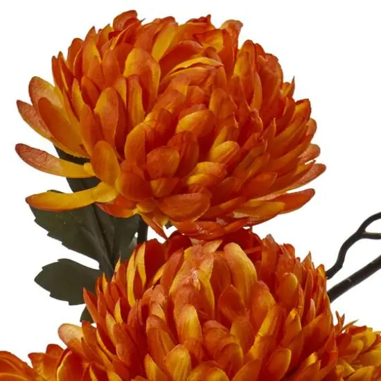 19" Orange & White Hydrangea & Mum in Glass Vase {3}