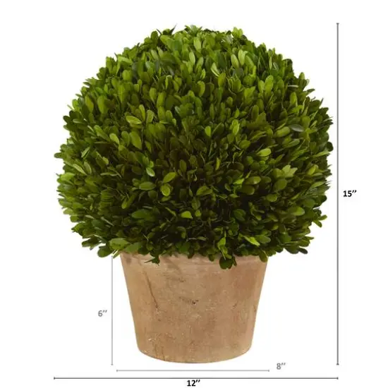 15'' Boxwood Ball Preserved Plant in Brown Planter {3}
