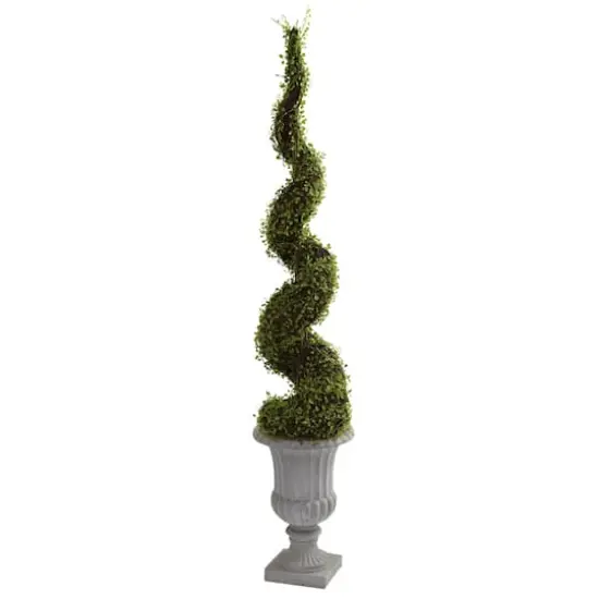 5ft. Mohlenbechia Spiral Tree with Decorative Urn {1}