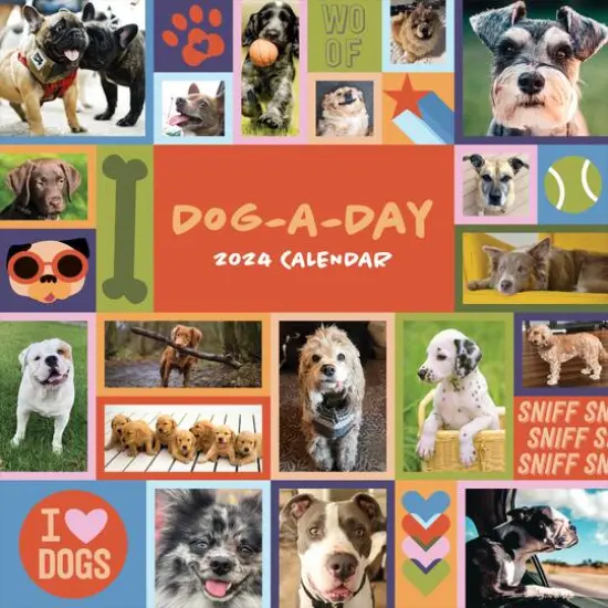 TF Publishing 2024 Dog-A-Day Wall Calendar {1}