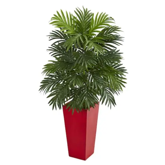 3.3ft. Areca Palm Plant in Red Planter {1}