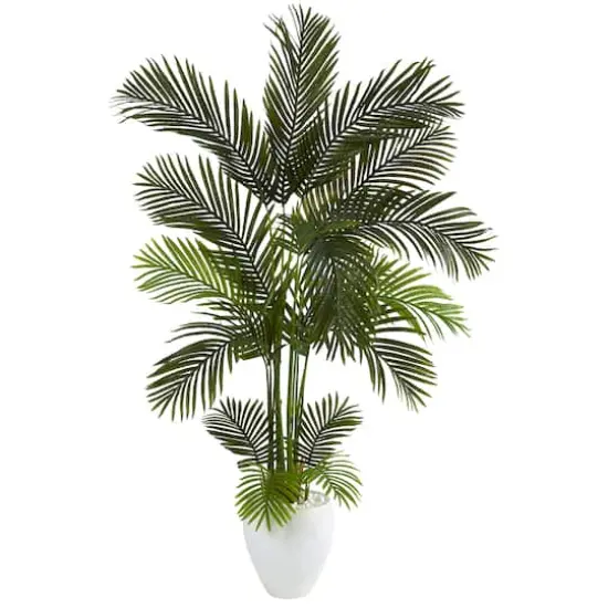 5.5ft. Areca Palm Tree in White Planter {1}