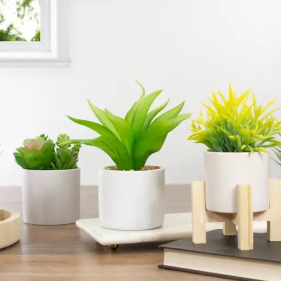 8" Green Aloe Plant in White Pot {3}