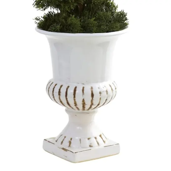 2.5ft. Cedar Spiral Tree in White Urn {4}