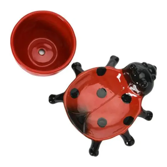 Hello Honey&reg; 3" Stoneware Ladybug Planter {4}