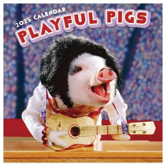 TF Publishing 2025 Playful Pigs Mini Calendar {1}