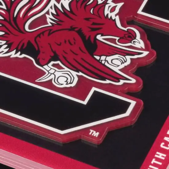 College Team 3D Logo Series Coasters, 2ct. South Carolina Gamecocks {5}