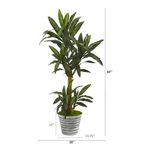 5ft. Yucca Plant in Decorative Tin Bucket {3}