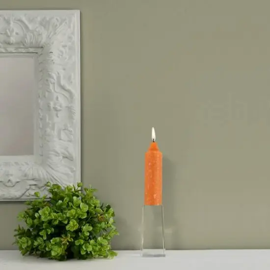 Root Candles 5" Unscented Timberline&trade; Collenette Taper Candles, 8ct. Pumpkin {4}