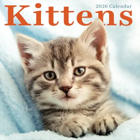 2026 Kittens Wall Calendar {1}