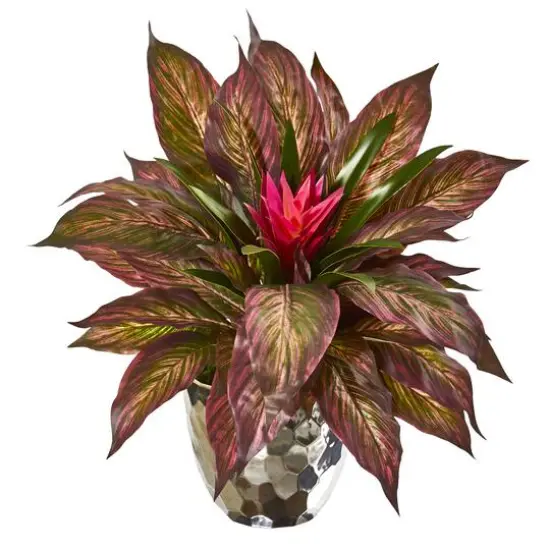 14" Ginger & Musa Leaf Plant in Silver Planter {1}