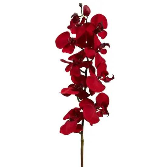 Christmas Red Moth Orchid Pick, 4ct. {3}