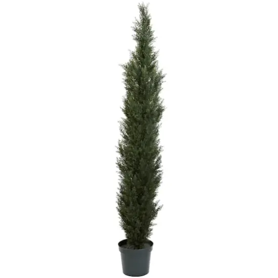 7ft. Potted Mini Cedar Pine Tree {1}