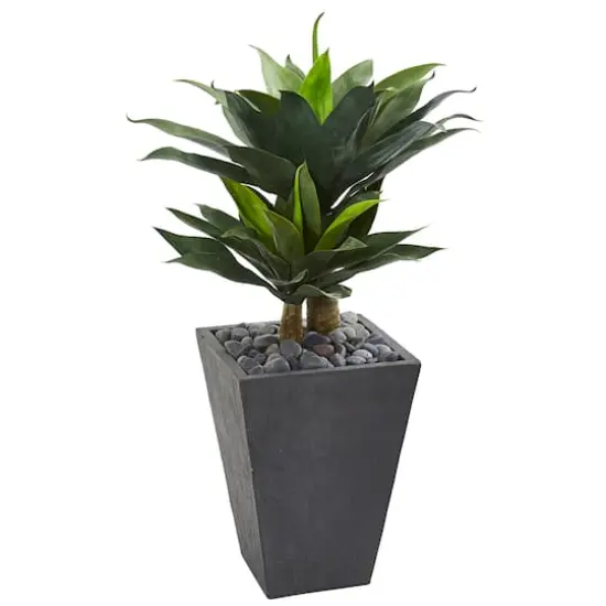 3ft. Double Agave Succulent Plant in Slate Planter {1}