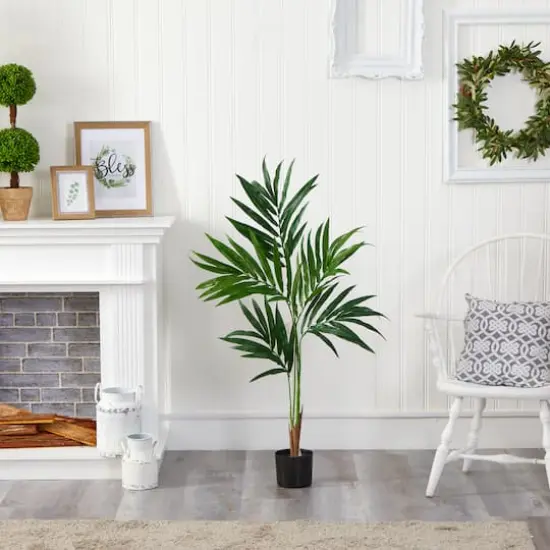 4ft. Potted Kentia Palm Tree {4}