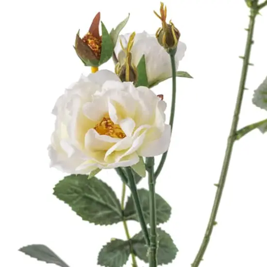 Cream Kate Rose Stem by Ashland&reg; {4}